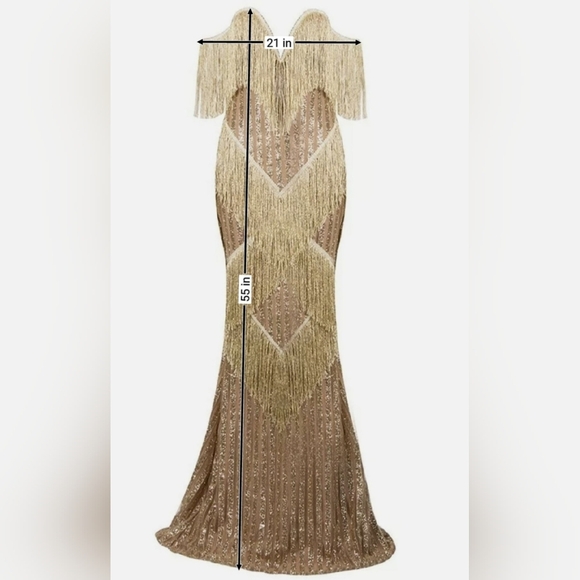 Elegant Beige Fringe Gown - Picture 10 of 11